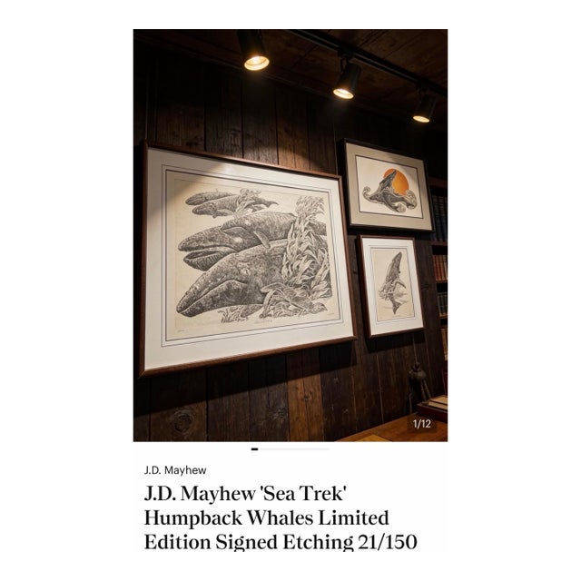 j.d. Mayhew Gray Whales and Kelp 1983 Limited Edition Etching Print, Signed and Numbered For Sale