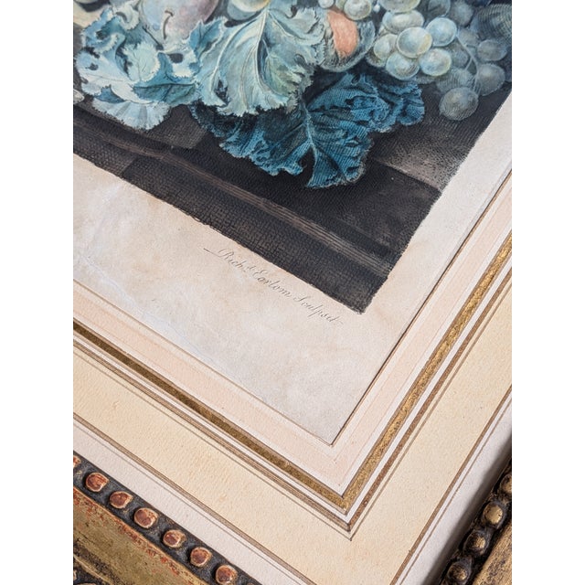 Jan Van Huysum, A Flower Piece and a Fruit Piece, London: Richard Earlon and John Boydell, 1778, Watercolors on Mezzotint, Framed, Set of 2 For Sale - Image 16 of 18