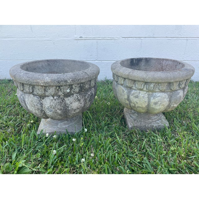 Pair of Mid-Century Cast Stone Tulip Urns - Egg & Dart Rim - Charlotte Estate For Sale - Image 4 of 8