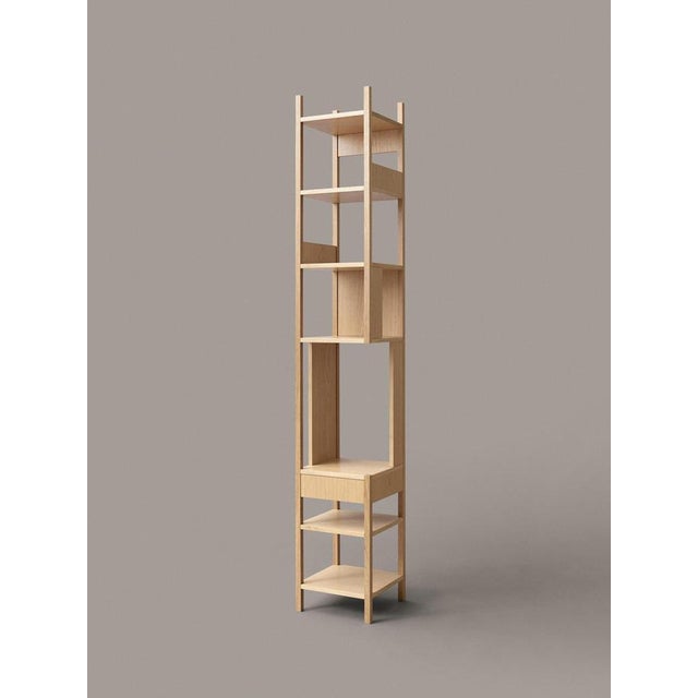 Wood Lungangolo Shelves by Achille Castiglioni for Karakter, Set of 3 For Sale - Image 7 of 13