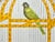 Vintage trompe L'oeil polychrome Delft birdcage plaque. This lovely hanging birdcage panel is handcrafted and hand...