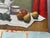Clairet, Still Life, 1970s, Oil on Masonite For Sale - Image 7 of 10