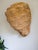 Large 18" Hand Woven Rope Conch Shell Sculpture, Artisanal Natural Fiber Seashell Tabletop Centerpiece Boho Coastal For Sale - Image 4 of 11