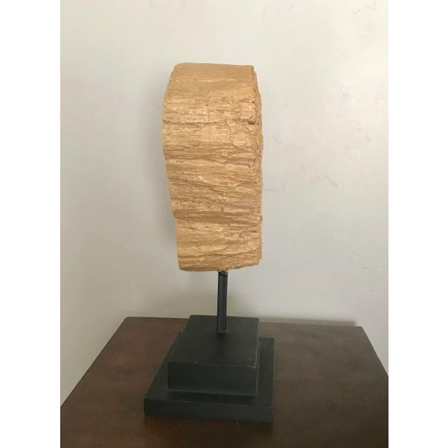 Contemporary Organic Wood Slice on Stand With Black Metal Base For Sale - Image 3 of 4
