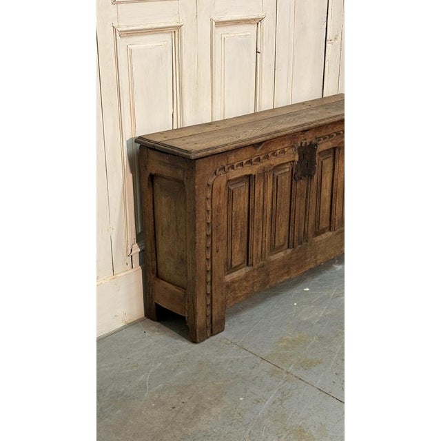 Antique Alpine Chestnut Chest, 1700 For Sale - Image 5 of 6
