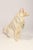 Folk Art Vintage Painted Chalkware Carnival Chalk Collie Dog Sculpture / Figurine For Sale - Image 3 of 18