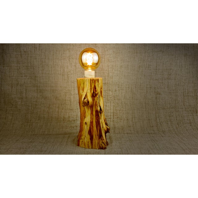 Embrace the timeless fusion of vintage industrialism and organic artistry piece. This lamp features a robust base...