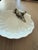 Shrimp Trinket Dish For Sale - Image 9 of 11