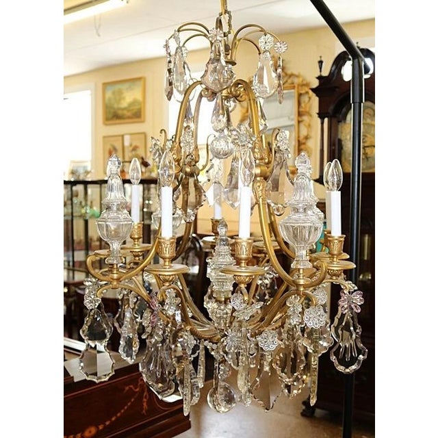 19thc XL Majestic French Louis XV Versailles Gilt Bronze Chandelier Attributed Maison Bagues For Sale - Image 13 of 15