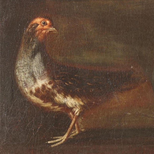 Attributable to Sinibaldo Scorza, Animals in Dark Background, Oil on Canvas For Sale - Image 5 of 12