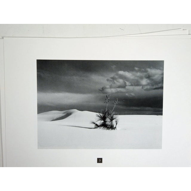 Late 20th Century Enchanted Land Portfolio of Photographs - 11 For Sale - Image 5 of 8