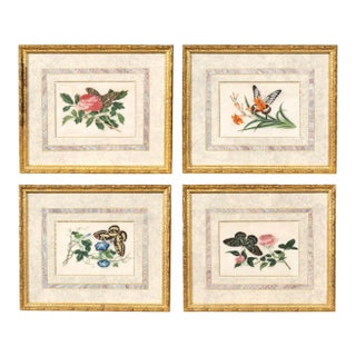 Set of Four Chinese Export Framed Pith Paper Watercolors of Plants and Insects For Sale