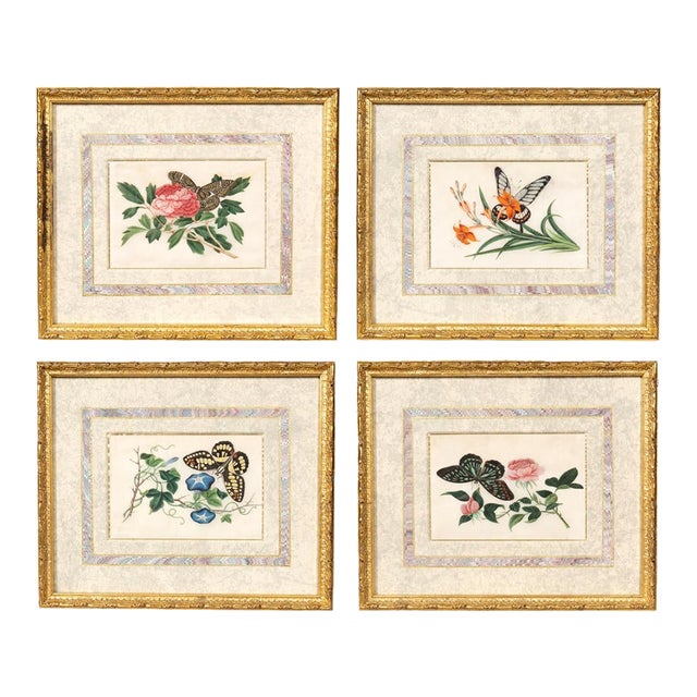 Set of Four Chinese Export Framed Pith Paper Watercolors of Plants and Insects For Sale
