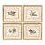 Set of Four Chinese Export Framed Pith Paper Watercolors of Plants and Insects For Sale