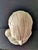After Houdon, Anatomical Bust, Carrara Marble For Sale - Image 8 of 12