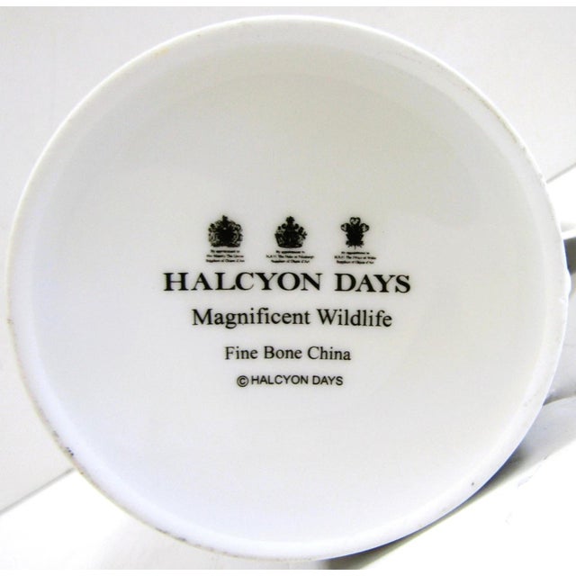 1980s Halcyon Days Magnificent Wildlife Two Tiger and Two Twin Leopard Mugs - Set of Four For Sale - Image 18 of 18
