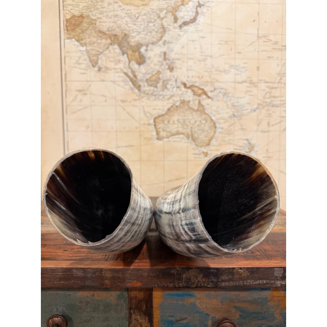 Dramatic Dark Ankole Watusi Horn Pair – 28” Polished Ugandan Horns – Ralph Lauren Safari Style For Sale In Des Moines, IA - Image 6 of 6