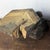 Black Large Italian Architectural Salvage Lion Feet, Set of 2 For Sale - Image 8 of 13