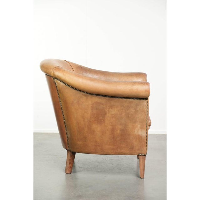 Sheepskin Club Armchair Light Cognac with Decorative Nails For Sale - Image 3 of 14