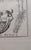 Antique Comparative Anatomy Engraving, c.1790 — Attrib. j.b. Elwe, 4 Tabulae For Sale - Image 4 of 6