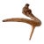 Vintage Natural Deer Antler For Sale