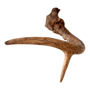 Vintage Natural Deer Antler