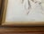 1900s Framed Harrison Fisher Lithograph “A Sketch” For Sale - Image 4 of 7