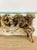 Vintage 1970s Driftwood Burlwood Console or Entry Table For Sale - Image 9 of 9