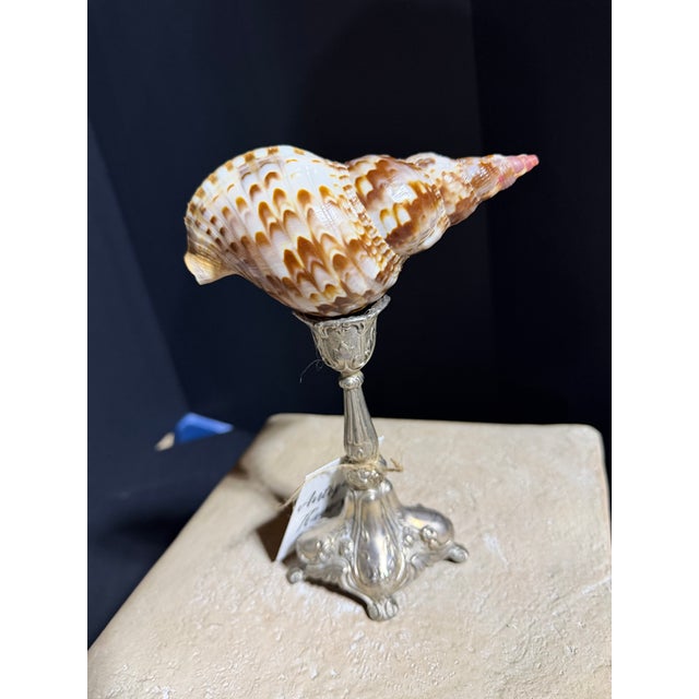 Celestial Meets the Sea Silver Plate Candlestick With Shell-Coastal Art Sculpture For Sale - Image 4 of 6
