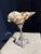 Celestial Meets the Sea Silver Plate Candlestick With Shell-Coastal Art Sculpture For Sale - Image 4 of 6