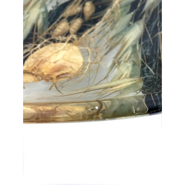 Vintage Acrylic Glass Bowl with Wheat Inclusions, 1970s For Sale - Image 10 of 11