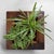 Wood Antique Japanese Wooden Planter, 1890s For Sale - Image 7 of 12
