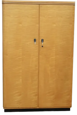 French Art Deco Tiger Grain amd Birch Double Wardrobe, 1920s