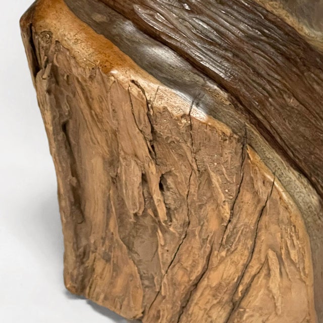 Abraham Chikumbirike Ironwood Carving of Female Bust For Sale - Image 10 of 11