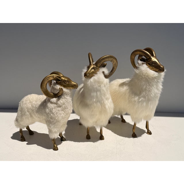 Set of three Patinated brass and white fur mountain sheep ram sculptures made in 1970’s in Korea and recently recovered in...