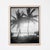 Vintage Palm Tree Photograph in Palm Beach - 40" X 60" For Sale - Image 4 of 4