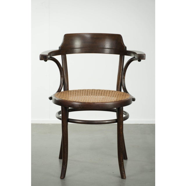 This original Cosmos vintage webbing side/dining chair/cafe chair features an elegantly curved wooden frame in Thonet...