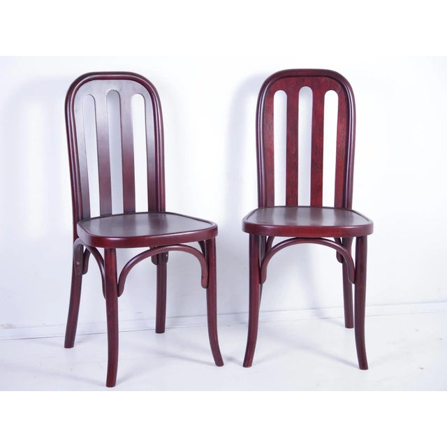 Set of Antique Chairs by Josef Hoffmann for Jacob & Josef Kohn For Sale - Image 3 of 18