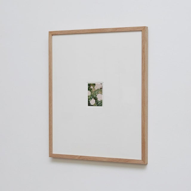 The Rose Garden Nº 35 Print by David Urbano, 2018 For Sale - Image 9 of 9