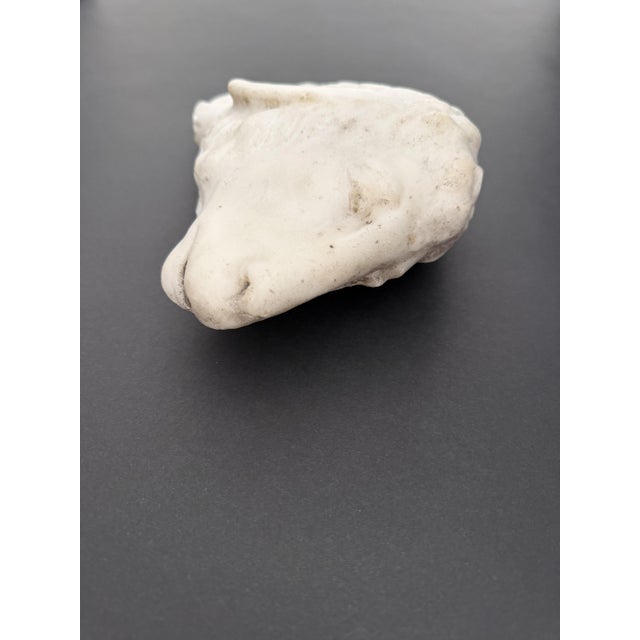 17th Century Marble Fragment Depicting a Lamb, Tuscany For Sale - Image 16 of 18