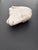 17th Century Marble Fragment Depicting a Lamb, Tuscany For Sale - Image 16 of 18