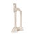 2020s Temple of Portunus I For Sale - Image 5 of 11