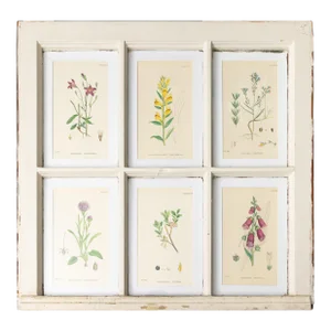 Antique Arts and Crafts Window Sashes With 19th Century Botanicals