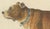 Karl Joseph Brodtmann, Mastiff Dog, 1816, Lithograph For Sale - Image 3 of 9