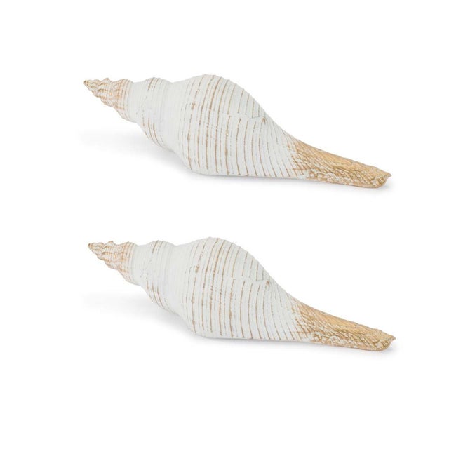 Bring breezy seaside charm to your home with this Whitewashed Coastal Seashell Décor set. Designed with realistic ridged...