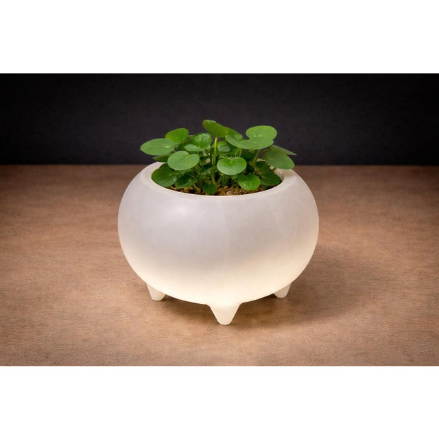 The “Meche” Pot, produced by Ensamble Artesano, reflects a contemporary interpretation of traditional Mexican ceramic...