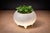 The “Meche” Pot, produced by Ensamble Artesano, reflects a contemporary interpretation of traditional Mexican ceramic...