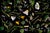 This framed giclée print presents a vibrant arrangement of wildflowers and foliage against a stark black background,...