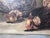 Chevalard, Still Lifes with Game and Fruit, 1940s, Oil on Canvases, Set of 2 For Sale - Image 7 of 14
