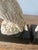1970s Vintage Italian Arnaldo Gianelli Alabaster Owl Bookends-a Pair, Signed For Sale - Image 9 of 11